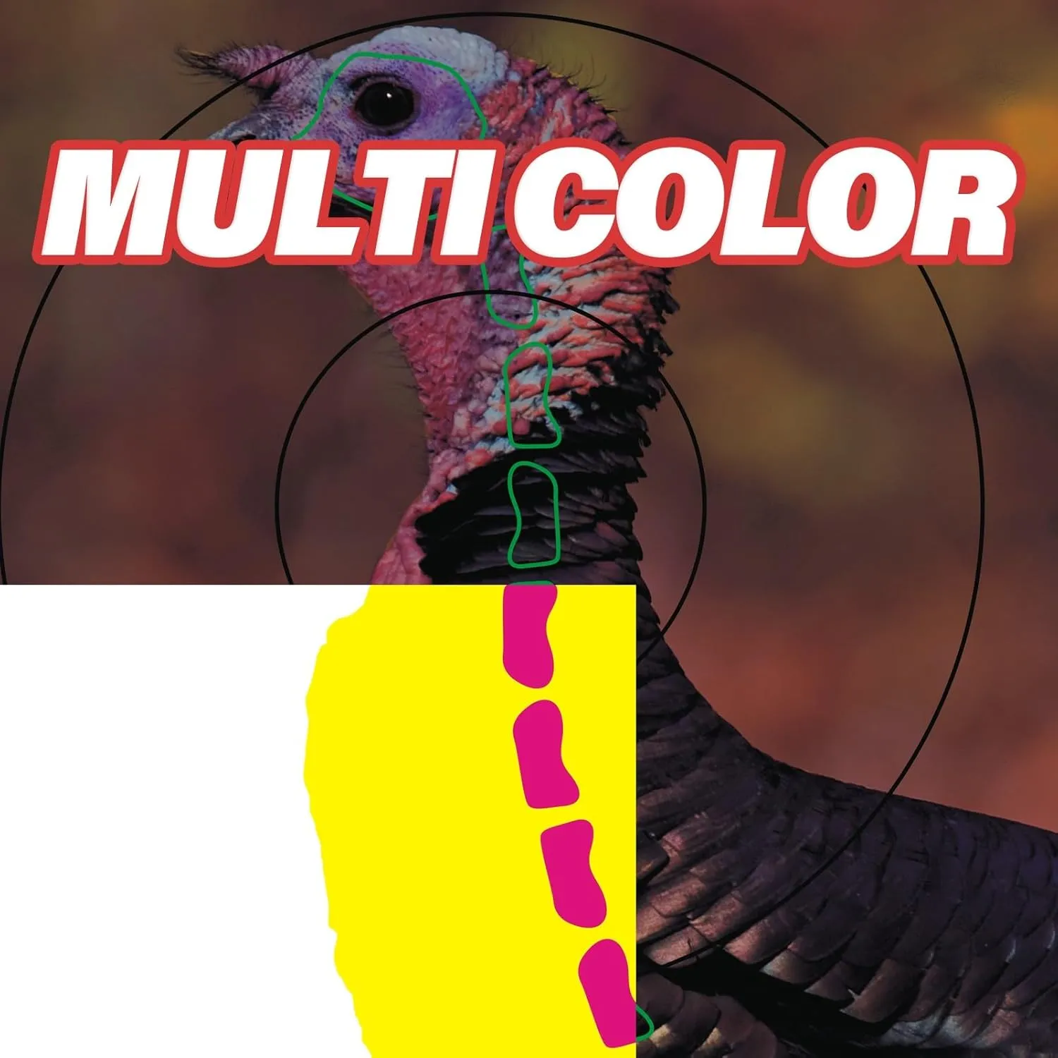12"x 18" Small Game Animal Targets & Reflective Turkey Targets - Photo-Realistic Instant Splatter Shot Targets - for All Guns and calibers - 10/25/50 Pack