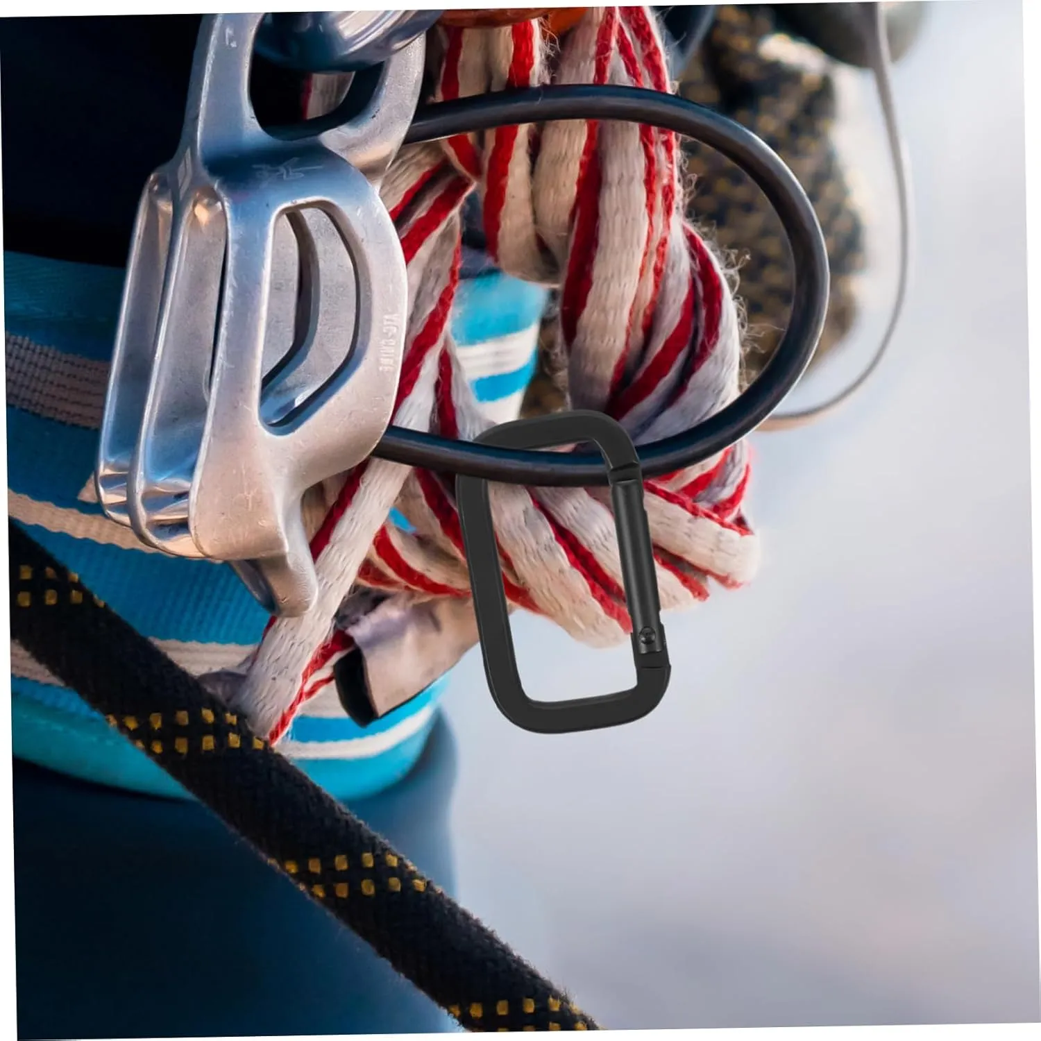 BESPORTBLE Carabiner Large Belt Buckle Water Jug Hook Webbing Belts Buckle Fire Starter Round Buckle Square Buckle