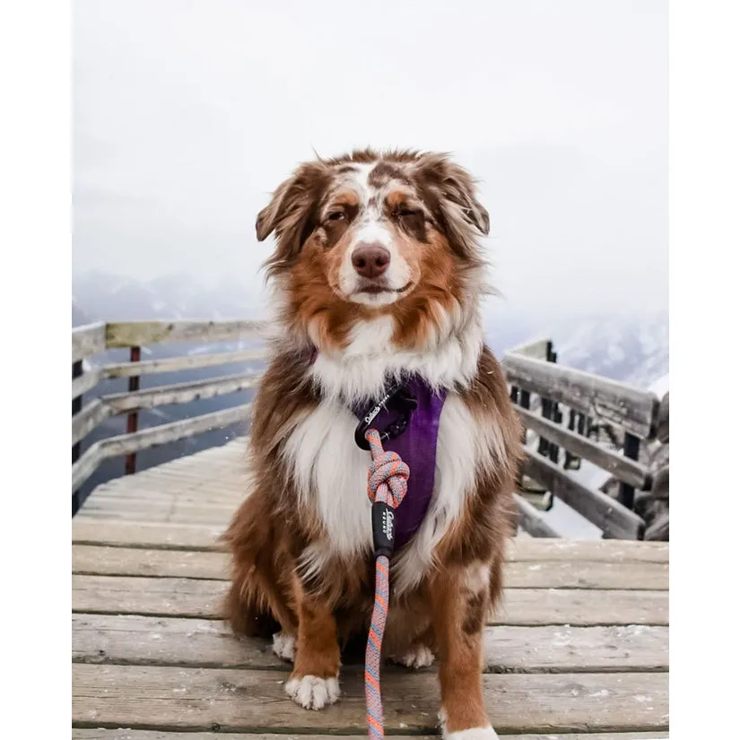 Calypso All-Terrain Leash