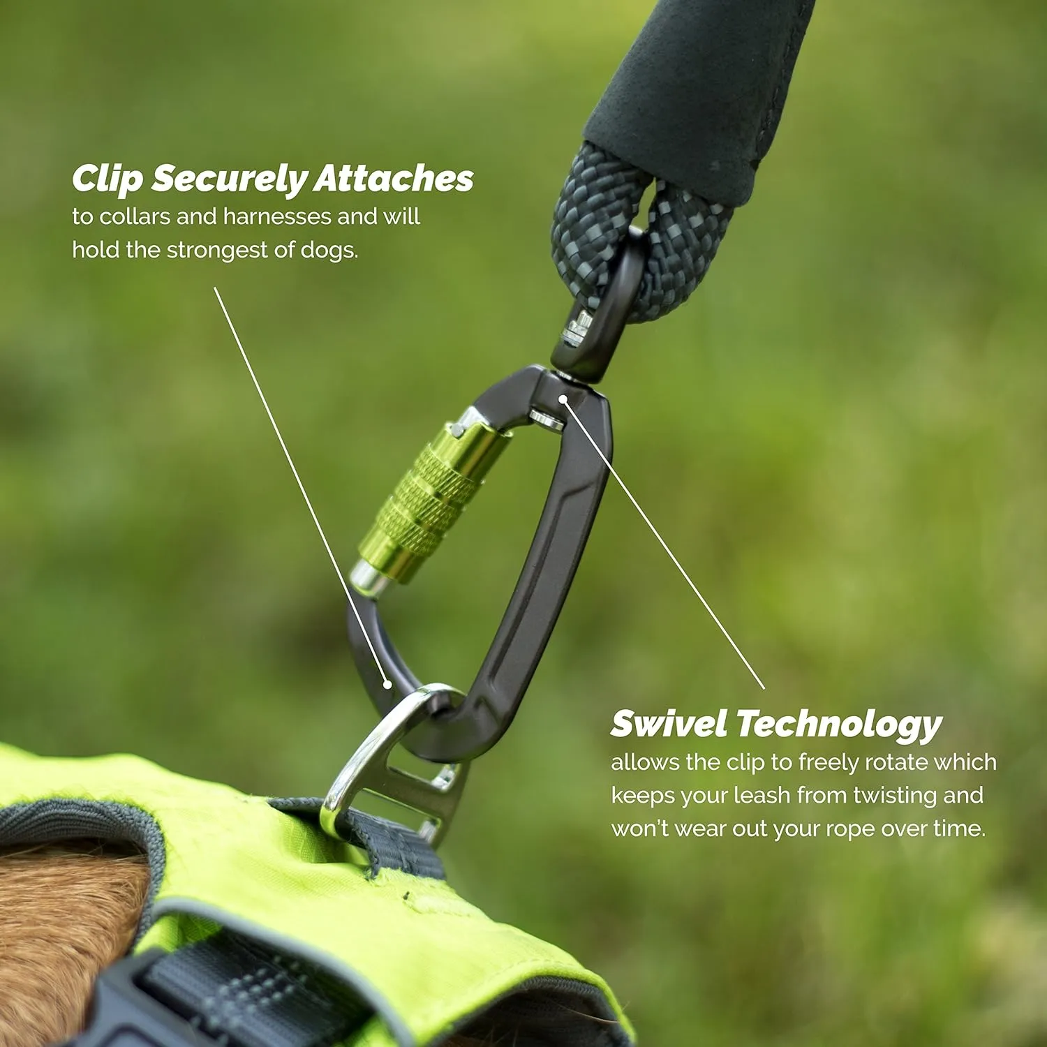 Dog Rope Leash with Lightweight Locking Swivel Carabiner, for Medium to Large Breeds, Comfortable Padded Handle, Reflective Stitching for Nighttime Safety and a Durable 5 Foot Long Lead