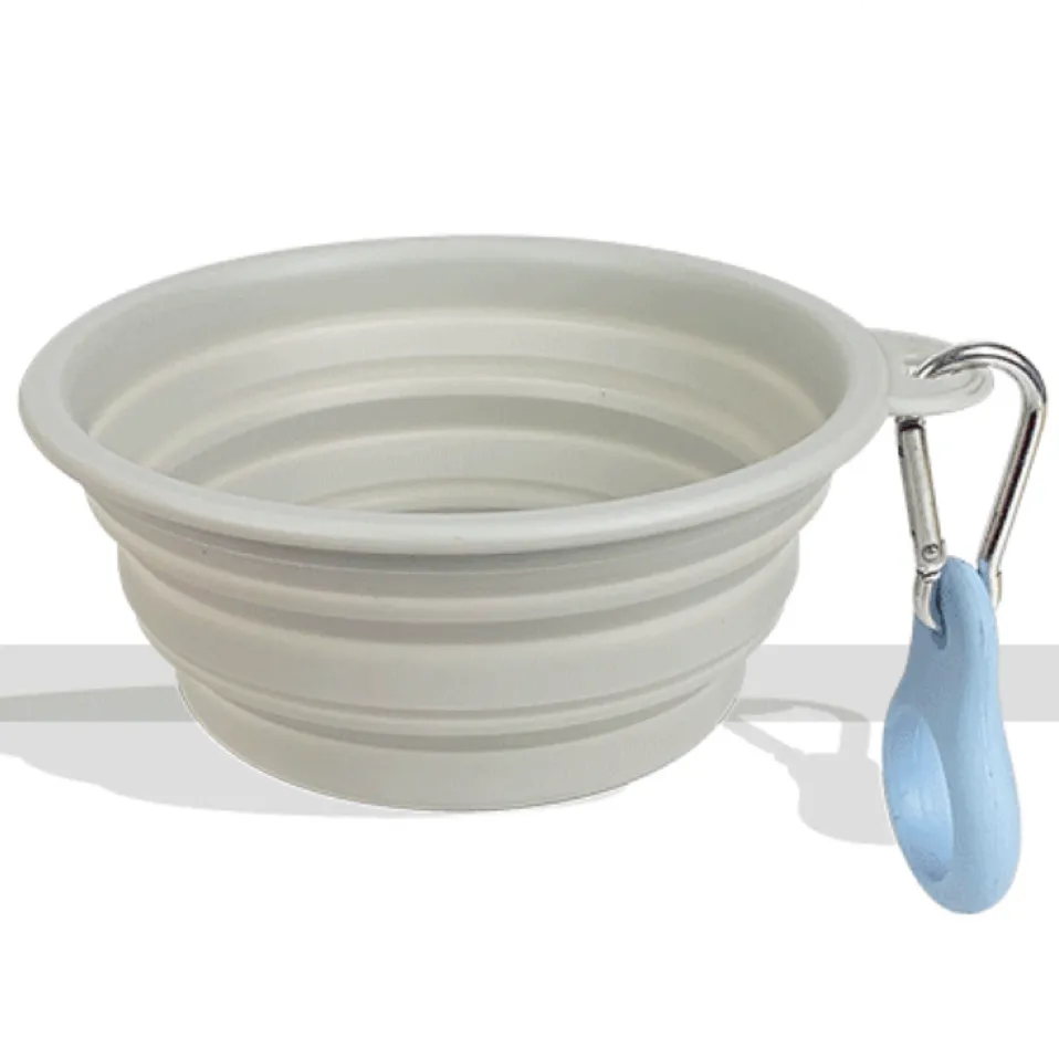 Foldable Travel Bowl