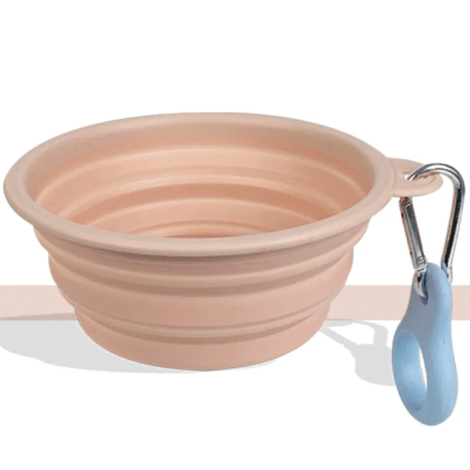 Foldable Travel Bowl
