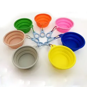 Foldable Travel Bowl