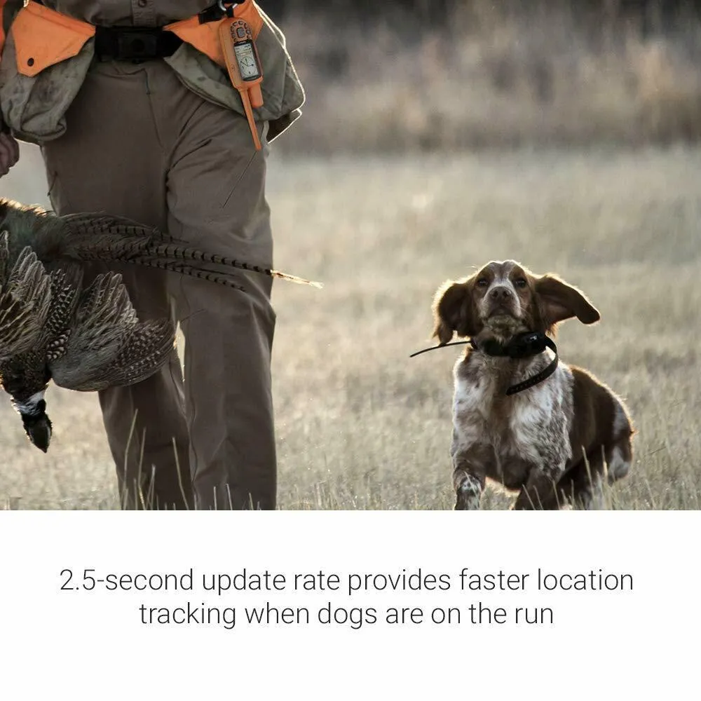 Garmin Astro 900 GPS Dog Tracking Bundle w/ Handheld & Dog Device, 010-02053-00