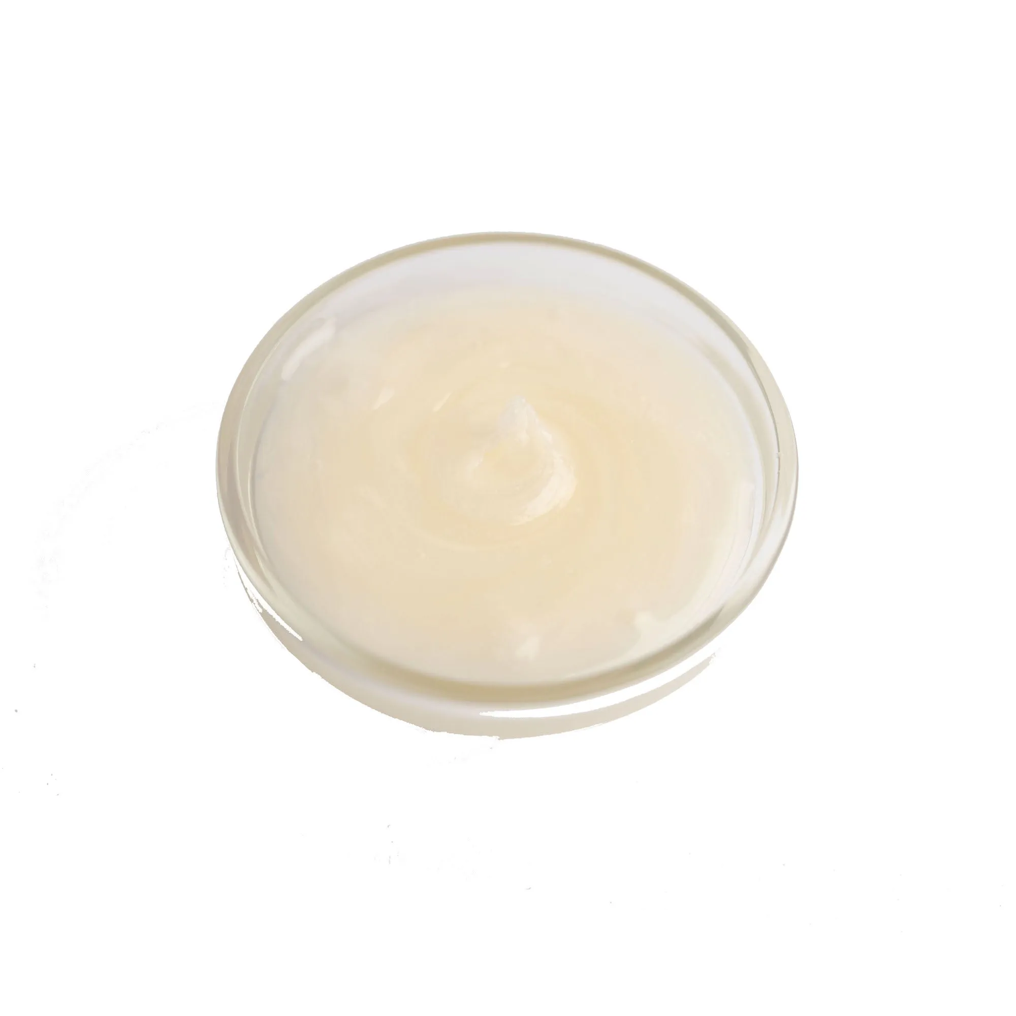 GUSTA SUPPLIES Inverted Sugar