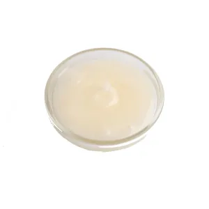 GUSTA SUPPLIES Inverted Sugar