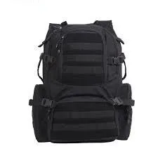 NS ASSAULT PACK MOLLE