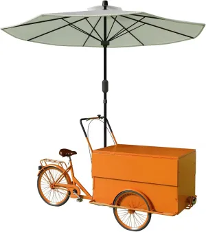 Outdoor Mobile Food Truck, Mobile Sales Truck, Coffee Milk Tea, Ice Cream Promotion Truck, Night Market Stall, Gourmet Stall Truck, w/Parasol (Orange)