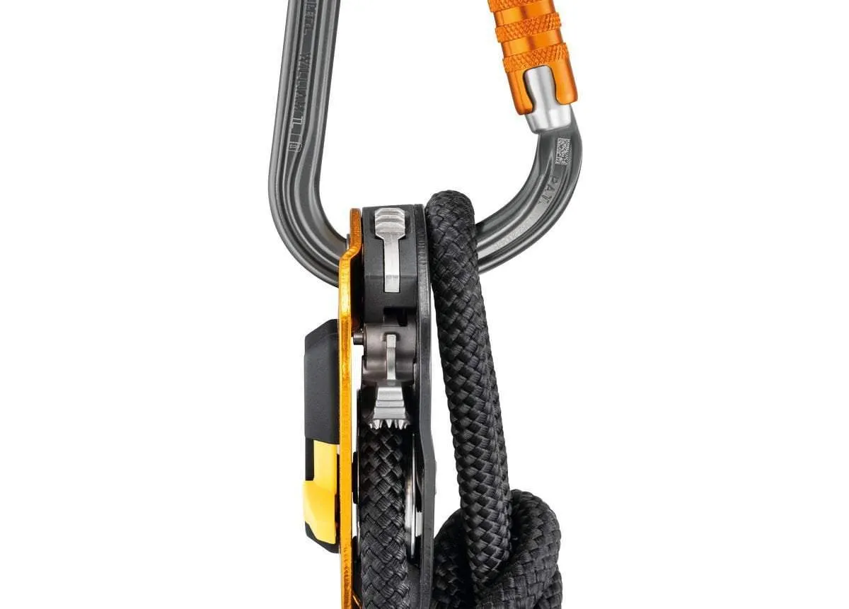 Petzl WILLIAM Carabiner