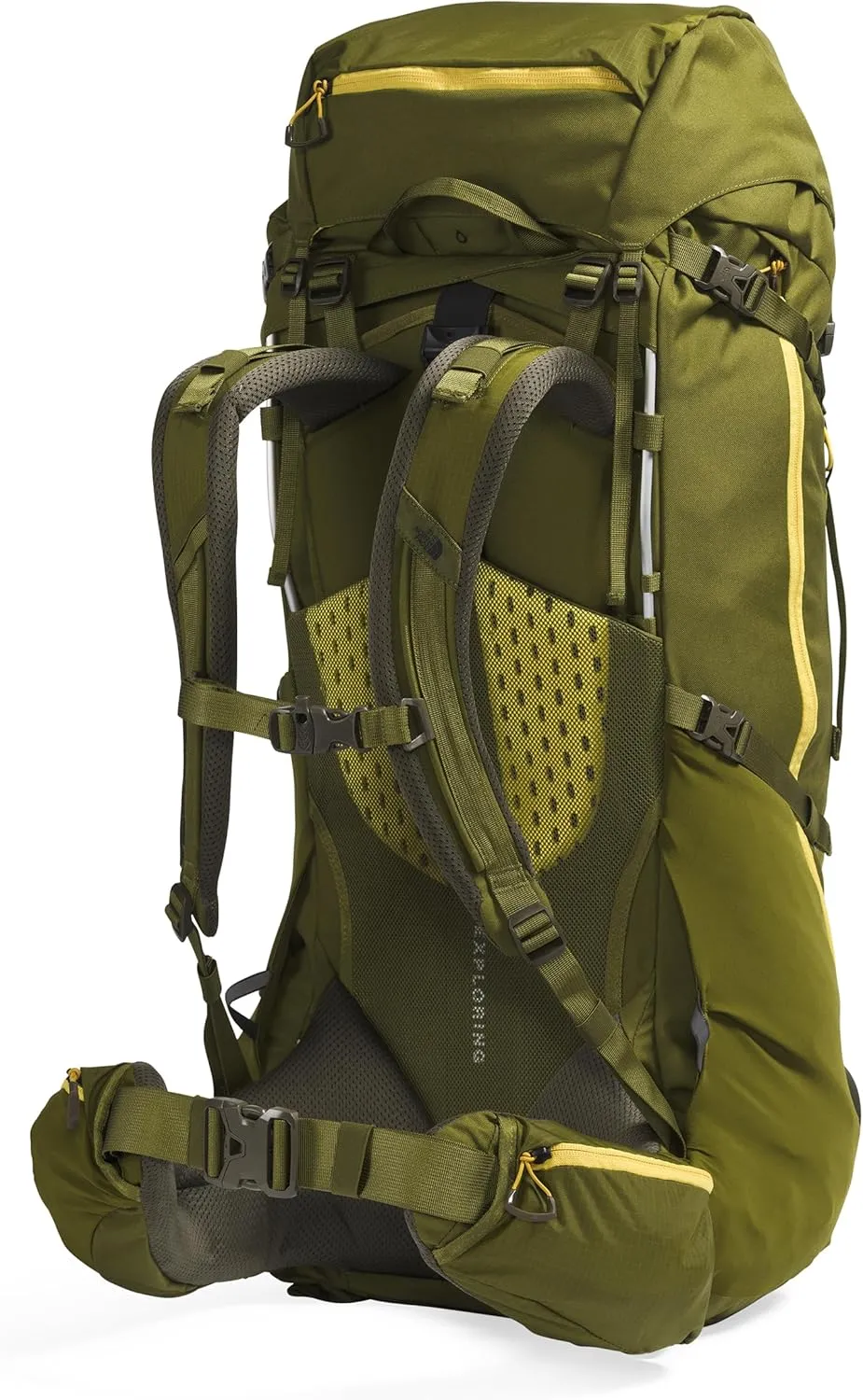 THE NORTH FACE Terra 65 L Backpacking Backpack, Forest Olive/New Taupe Green, Small/Medium