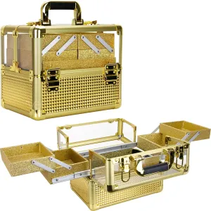 Ver Beauty Professional Nail Polish Cosmetic Organizer 3.8mm Heavy Duty Acrylic Makeup Artist Travel Case Easy Clean With Extendable Trays, Gold Ice Cube