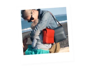 Wishbone Bike Bag